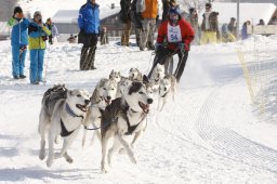 Lenk 2012 SM